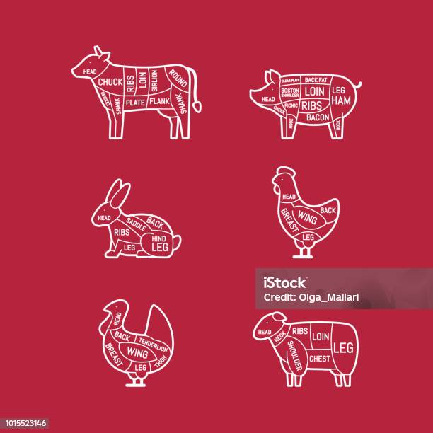 Diagrams For Butcher Shop Meat Cuts Animal Silhouette Pig Cow Lamb Chicken Turkey Rabbit Vector Illustration Stock Illustration - Download Image Now