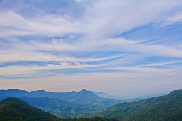 istock Rural Landscape with tree and montain 1015534650