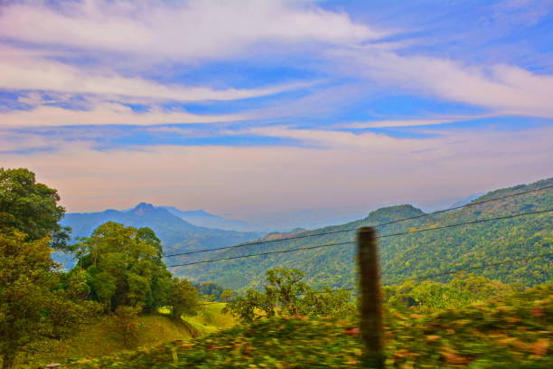 istock Rural Landscape with tree and montain 1015534772