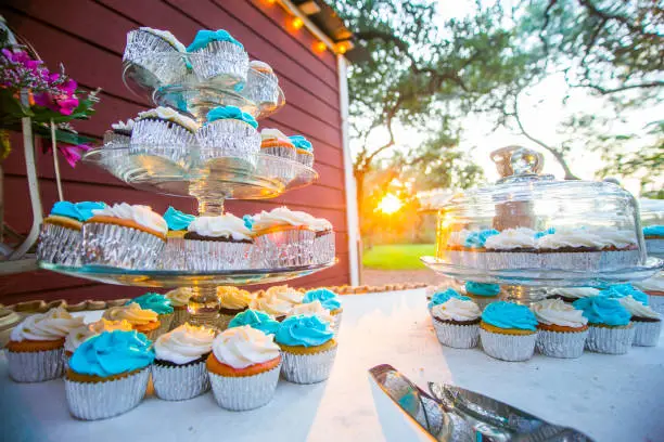 Photo of Cupcakes with Sunflare