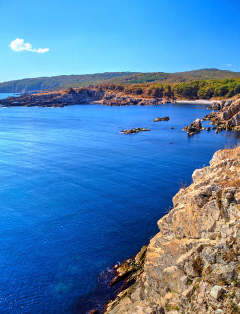 istock Landscape on rocky shore 1015541818