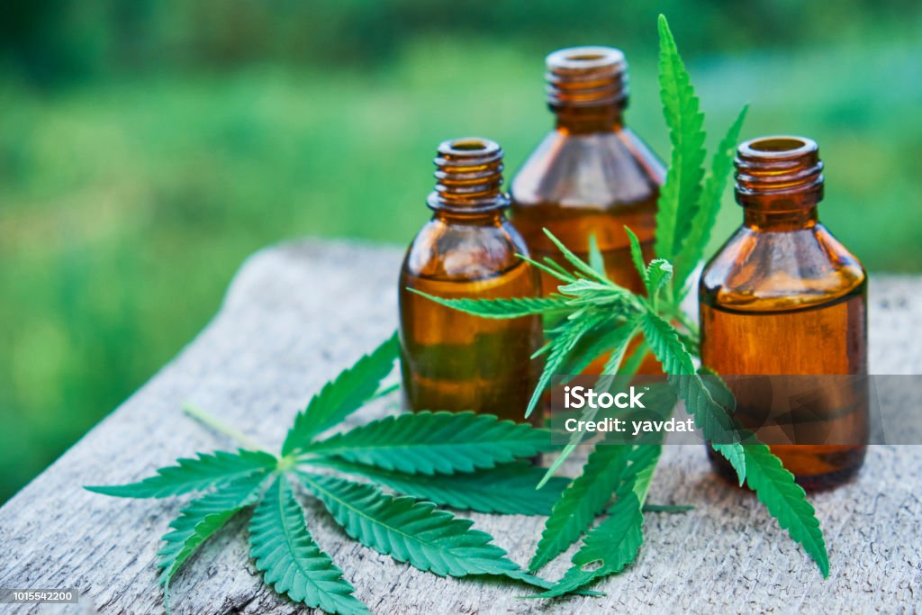 hemp leaves on wooden background, seeds, cannabis oil extracts in jars hemp leaves on wooden background, seeds, cannabis oil extracts in jars. Cannabis - Narcotic Stock Photo