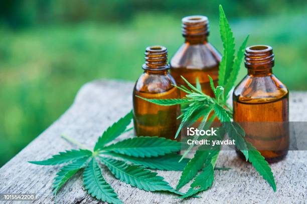 Hemp Leaves On Wooden Background Seeds Cannabis Oil Extracts In Jars Stock Photo - Download Image Now