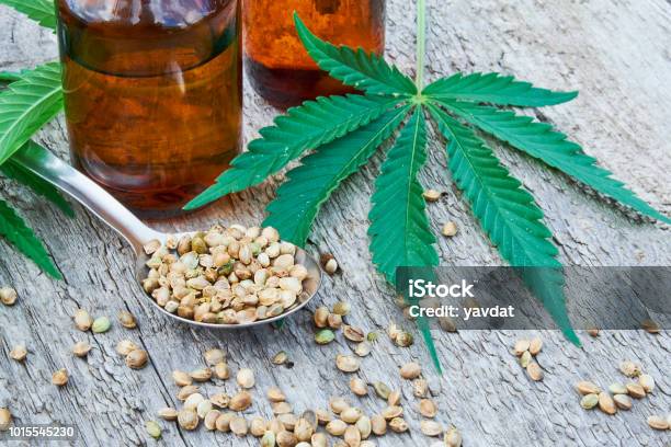 Hemp Leaves On Wooden Background Seeds Cannabis Oil Extracts In Jars Stock Photo - Download Image Now