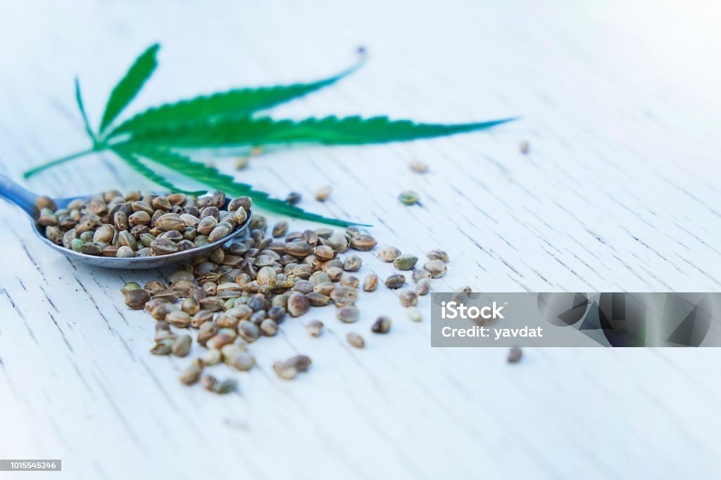 hemp leaves on wooden background, seeds, cannabis oil extracts in jars hemp leaves on wooden background, seeds, cannabis oil extracts in jars. Hemp Stock Photo