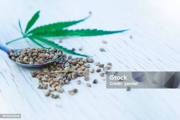 Hemp Leaves On Wooden Background Seeds Cannabis Oil Extracts In Jars Stock Photo - Download Image Now