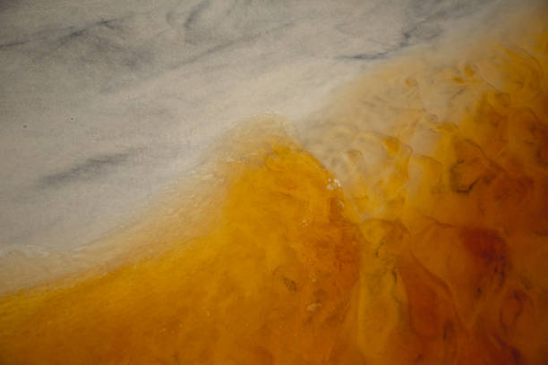 istock Abstract water sand waves motion color 1015548616