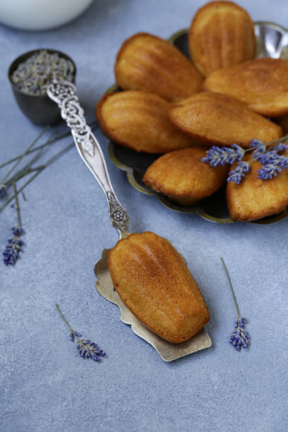 istock French cookies Madeleine 1015558930