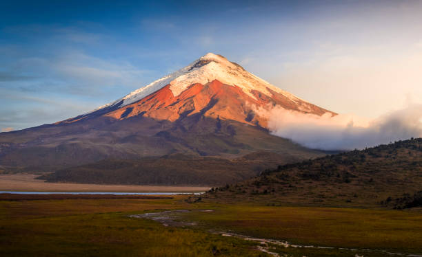 Cotopaxi Among the thirty or more volcanoes I witnessed in my journey through South America, the one that doubtlessly most amazed me was the majestic Cotopaxi in Ecuador. Don’t know if it’s because it was the first one or because of the wild & insane paramo landscape that surrounds it. cotopaxi photos stock pictures, royalty-free photos & images