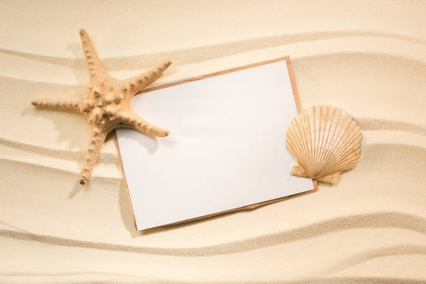 istock flat lay with sea star, seashell and blank paper on sand 1015589308