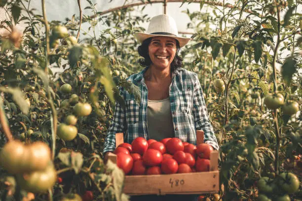 farmer at work