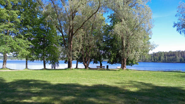 istock Green meadow, trees and river 1015604422