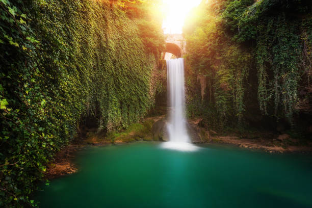 fairy tale waterfall in tobera, burgos, spain. - river spring waterfall water imagens e fotografias de stock