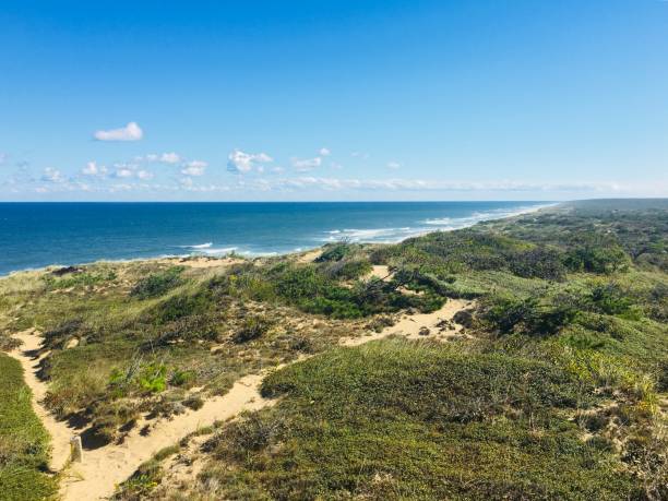 cape cod massachusetts - summer beach - brewster foto e immagini stock