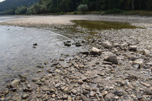 istock small dried rhine rive in summer 2018 1015618336