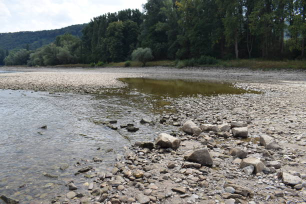 istock small dried rhine rive in summer 2018 1015618408