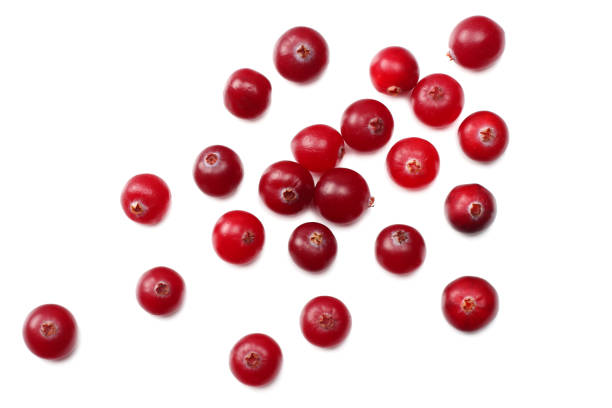 istock Cranberry isolated on white. With clipping path. Full depth of field. top view 1015621138