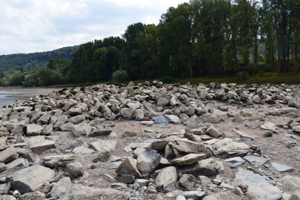 istock small dried rhine rive in summer 2018 1015624966