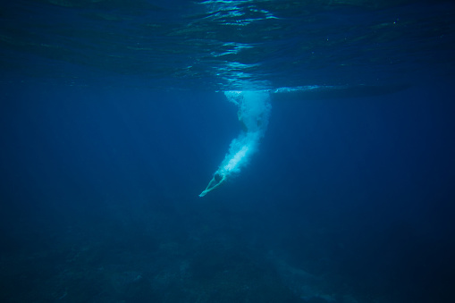 partial view of man diving into ocean