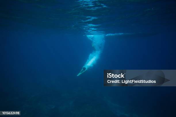 Partial View Of Man Diving Into Ocean Stock Photo - Download Image Now - Diving Into Water, Underwater Diving, Men
