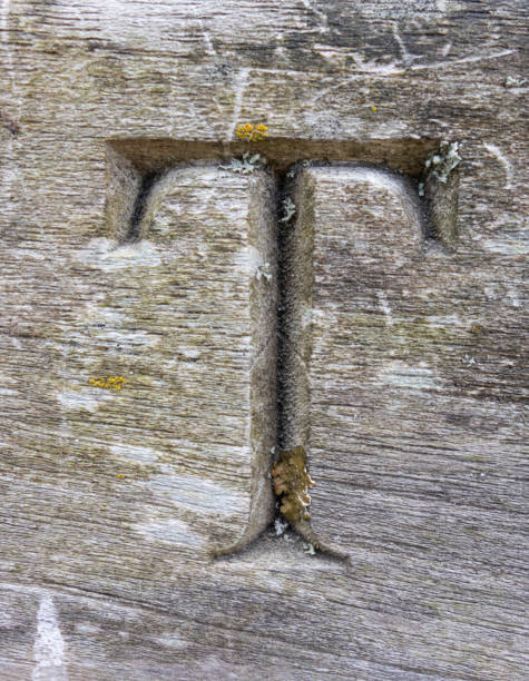 istock Written Wording in Distressed State Typography Found Letter T 1015639058
