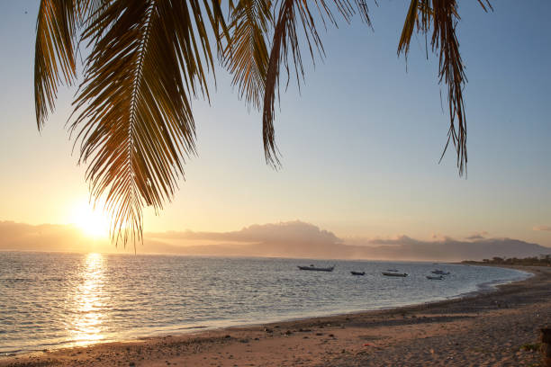 istock Palms and sun, tropical sunset taken in Bali 1015642244
