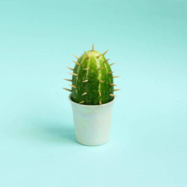 istock Cactus made from cucumber on pastel light blue background 1015645324