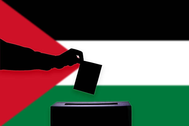 istock Palestine flag with ballot box 1015649910