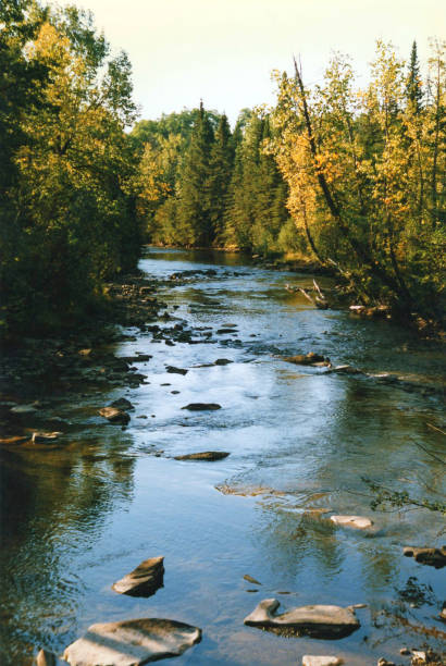 istock Rocky Mountain autumn stream with yellow leaves 1015662158