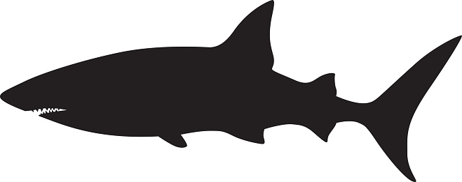 Vector illustration of a swimming shark silhouette.