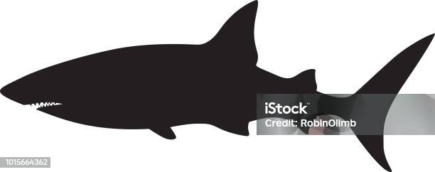 Shark Silhouette Stock Illustration - Download Image Now - Shark, Icon Symbol, In Silhouette