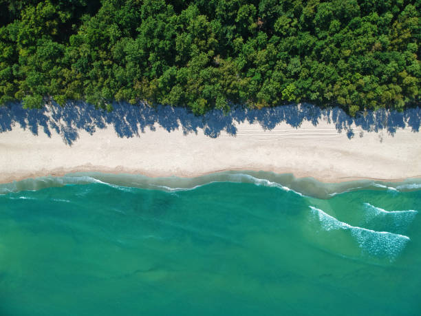 istock Aerial view on turquoise ocean water with clean sand beach and forest 1015680934
