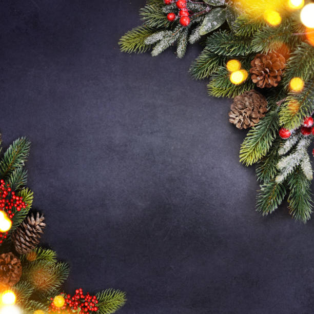istock Christmas holiday background with fir branch 1015697498