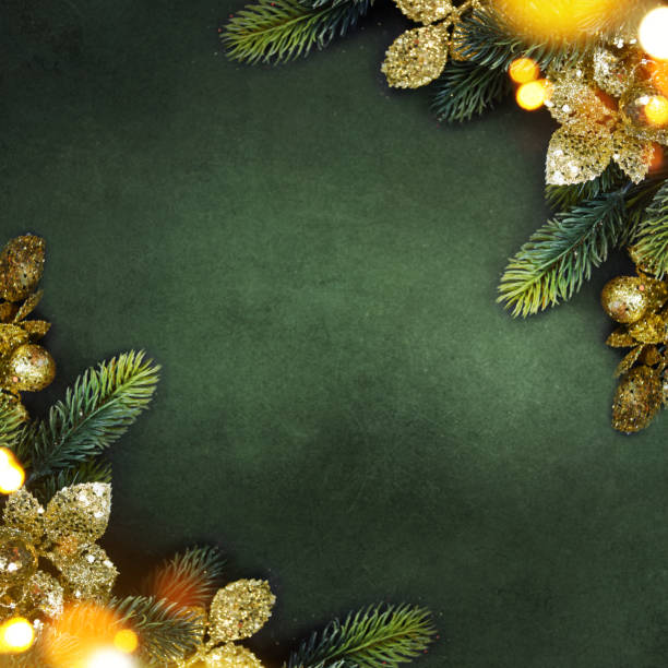 istock Christmas holiday background with fir branch 1015697584