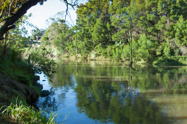 Swimming hole in a river in the forest
