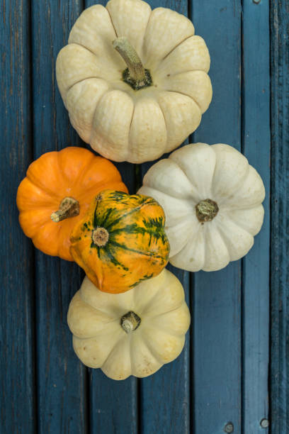 istock Collection of Fresh Gourds Pumpkin, Squash 1015712722
