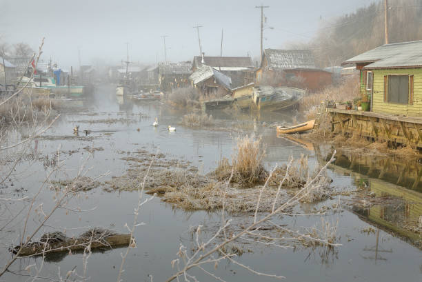 istock Finn Slough Winter, Richmond 1015723144