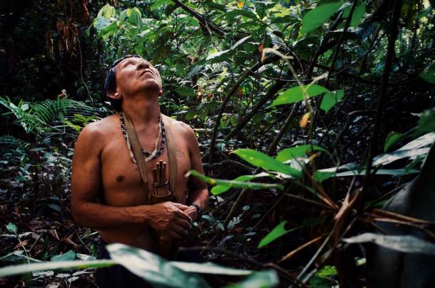 l'anziano tribale binan tukum a caccia con suo figlio di scimmie nella foresta pluviale - cultura indigena foto e immagini stock