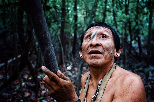 Atalaia du Norde, Amazonia / Brazil - FEB 02 2016:Tribal elder Binan Tukum hunting with his son for monkeys in the rainforest