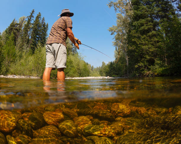 istock Fly fishing on creek 1015746072