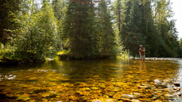 istock Fly fishing on creek 1015746400