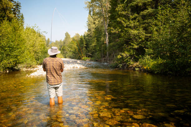 istock Fly fishing on creek 1015746666