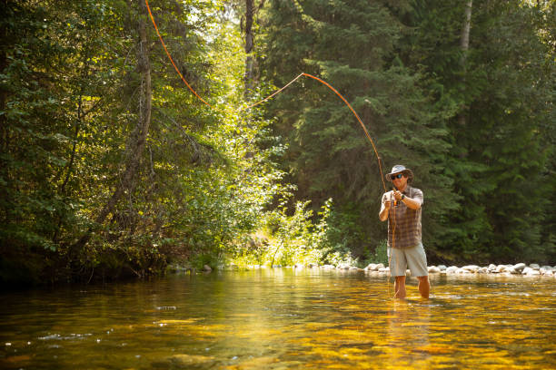 istock Fly fishing on creek 1015746722