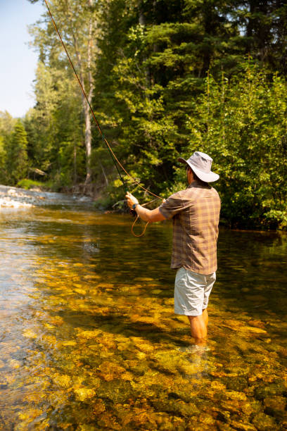 istock Fly fishing on creek 1015746756
