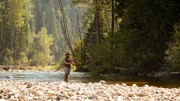 istock Fly fishing on creek 1015746796