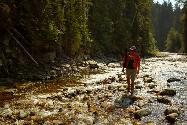 istock Fly fishing on creek 1015749056