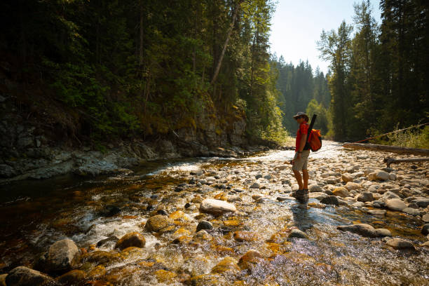 istock Fly fishing on creek 1015749098