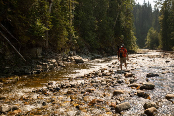 istock Fly fishing on creek 1015749172