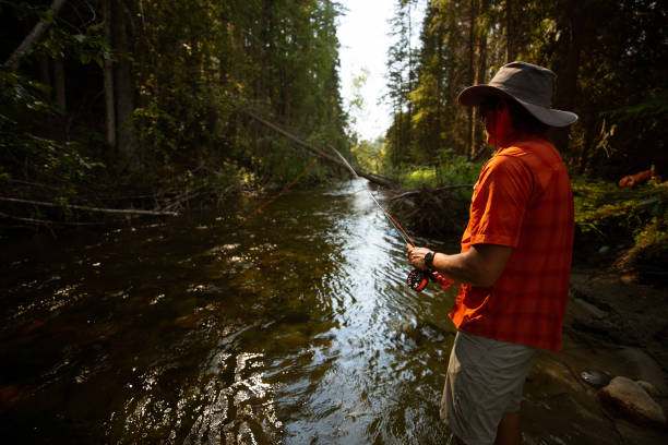 istock Fly fishing on creek 1015749178