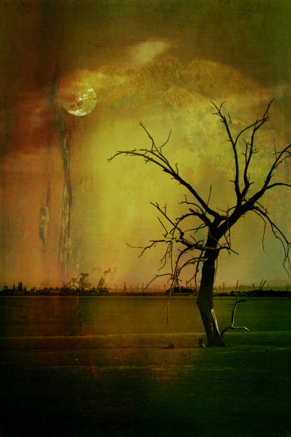 istock Salton Sea - Environmental Damage 1015757496